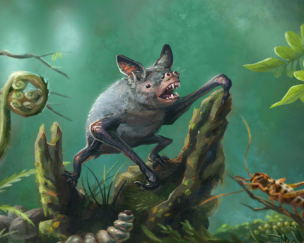 Research uncovers evidence of giant bat The bat lived millions of years ago in New Zealand.